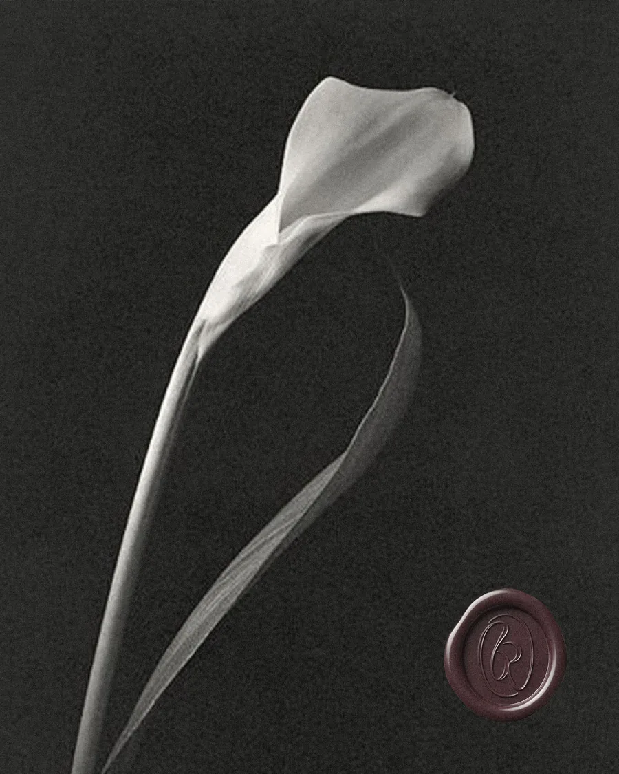 Calla lily
